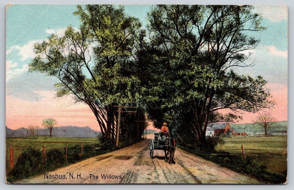 Antique Postcard Nashua NH The Willows Horse Carriage 1910 Hugh C Leighton